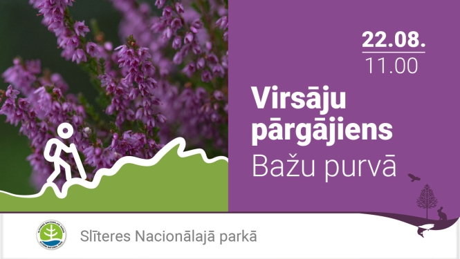 Reklām Virsāju pārgājienam Bažu purvā