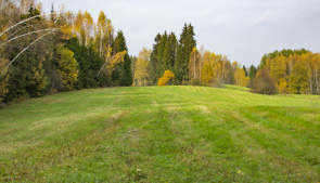 Mežmala rudenī