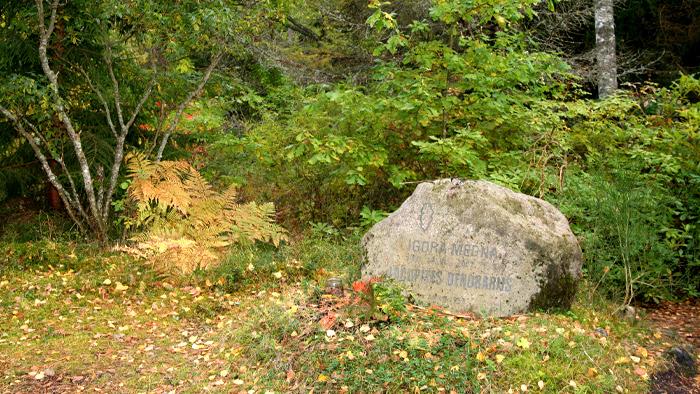 Igora Medņa Lāčupes dendroloģiskie stādījumi