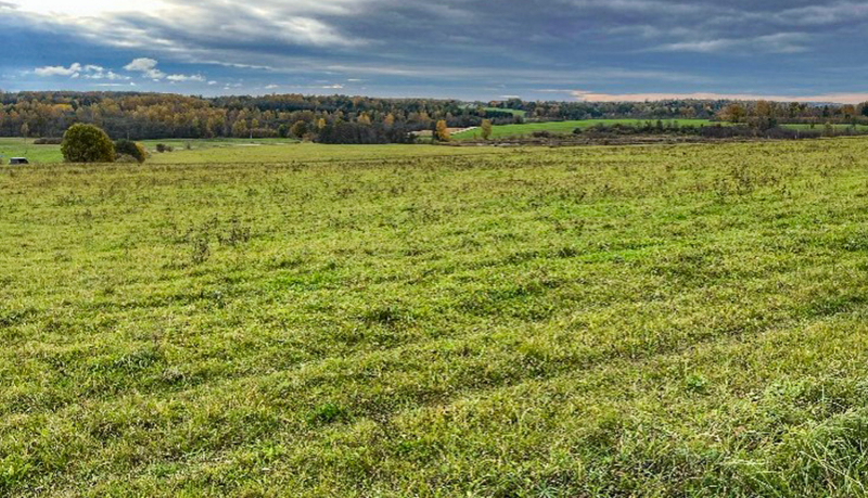 Lēzena, nopļauta pļava ar plašu skatu un tālumā ar mežiņiem apauguši pauguriņi.
