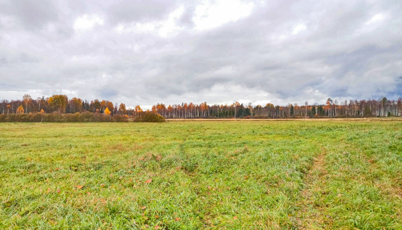 Nopļauta pļava ar plašu skatu un tālumā rudenīgi krāsoti meži. Nomākušās debesis.