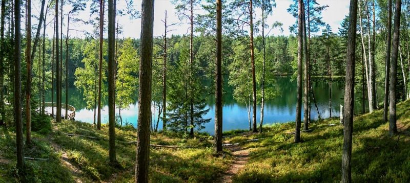 Dabas liegums Čertoka ezers. Foto: Andris Soms