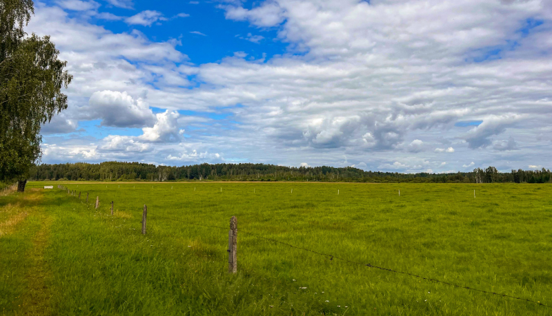 Dabas liegums Gārdauņa pļavas. Foto Līga Ezeriņa