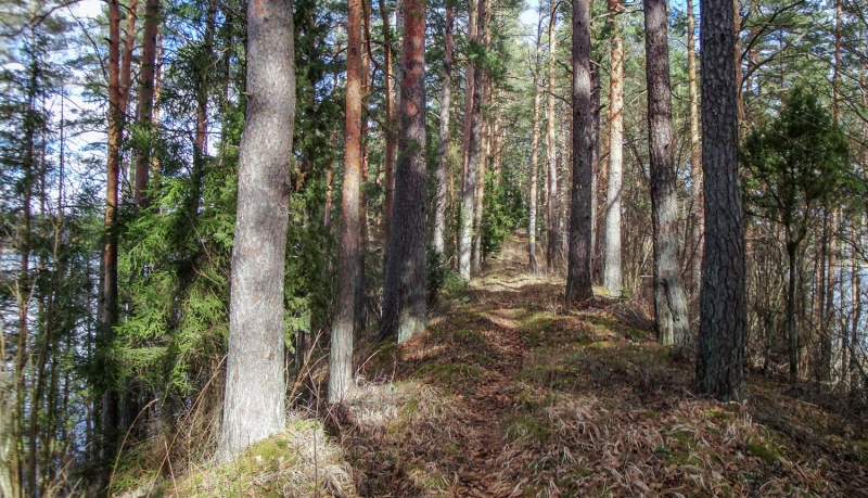 Dabas liegums Grebļukalns. Foto: Elīna tripāne. DAP