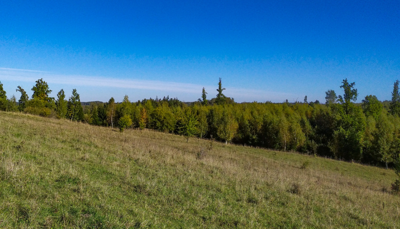 Paugura nogāzē noganīta pļava, tuvumā mežs, saulaina diena, zilas debesis.