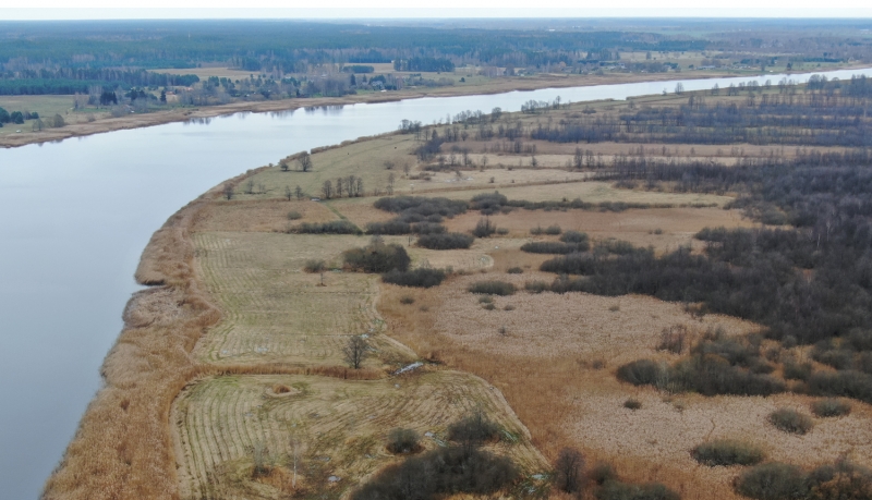 Dabas liegums lielupes palienes pļavas