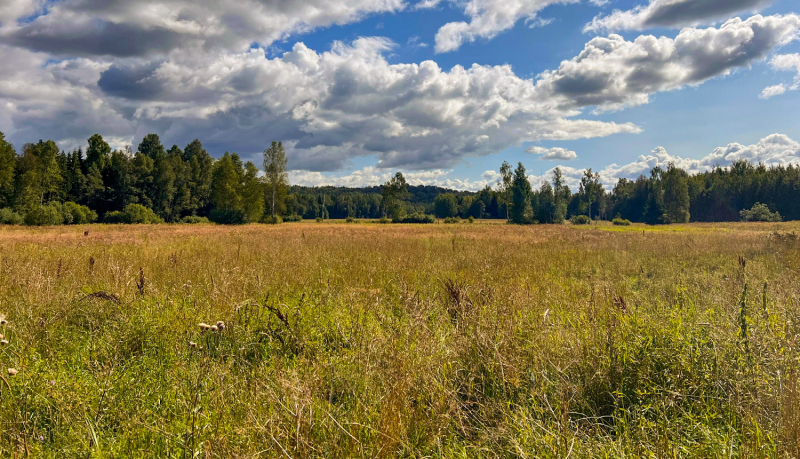 Dabas liegums Nirītes pļavas. Foto Līga Ezeriņa