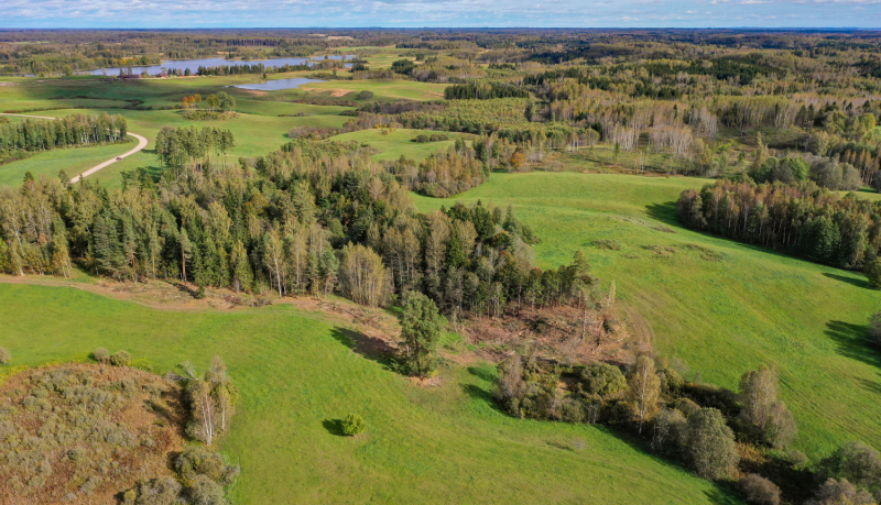 Ainavas skats no augšas: plaši lauki un pļavas ar izteiktu zaļu krāsu dominanti, ko šķērso mazi koku un krūmu puduri ar rudens dzeltenzaļiem toņiem. Tālākā fonā redzami vairāki mazi ezeri un dīķi. Pa kreisi augšup ved grants ceļš, vizuāli dalot ainavu.