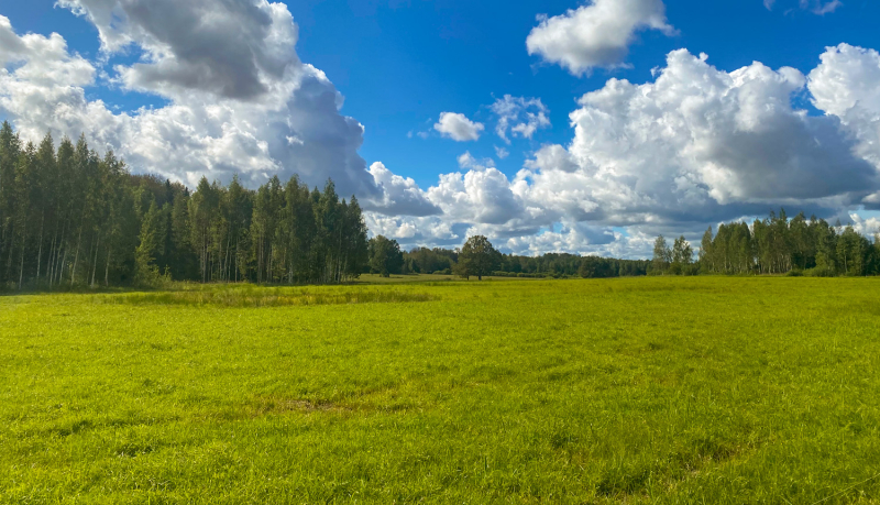Dabvas liegums Ridupītes un Ziemeļsusējas pļavas. Foto Ginta Rajecka