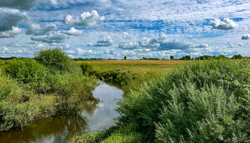 Ainu veido Susejas upes ieleja ar lēni plūstošu, brūnganu ūdeni. Krasti ir blīvi apauguši ar spilgti zaļiem krūmiem un augstiem zāles stiebriem. Aiz tiem stiepjas zāles lauks un tālā horizonta līnija ar koku puduriem. Debesis ir vasarīgi zilas ar lieliem, pūkainiem, baltiem mākoņiem.