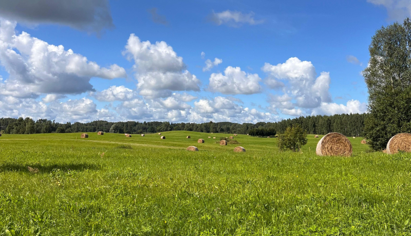 Dabas liegums Vīķu ezera un Brūlānu pļavas. Foto Līga Ezeriņa