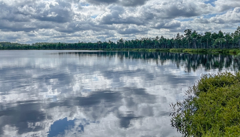 Dabas liegums "Zaborovjes ezera purvs un meži". Foto Maija Krūmiņa