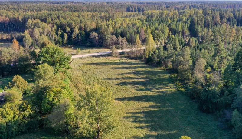 Skats no augšas: zaļa, nelīdzenas virsmas pļava ar atsevišķiem kokiem un krūmiem. Pļavu šķērso gaišs grants ceļš. Viss apvidus ir ieskauts plašā, blīvā mežā ar dažādiem lapu un skuju kokiem, kas rudenī iegūst zaļus, dzeltenus un brūnganus toņus, radot mozaīku.