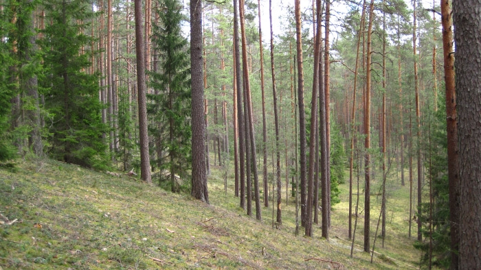 Dabas liegums Posolnīca