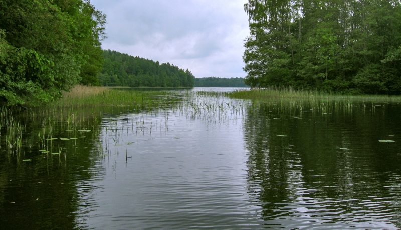 Cārmaņa ezers. Foto: Regīna Indriķe. DAP