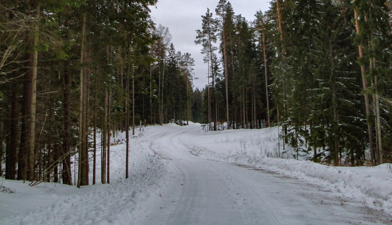 Dabas parks ISTRAS PAUGURAINE. Foto: Elīna Ttripāne. DAP