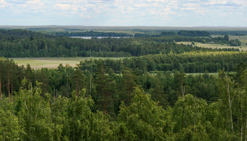 Dabas parks Kurjanovas ezers. Foto: DAP