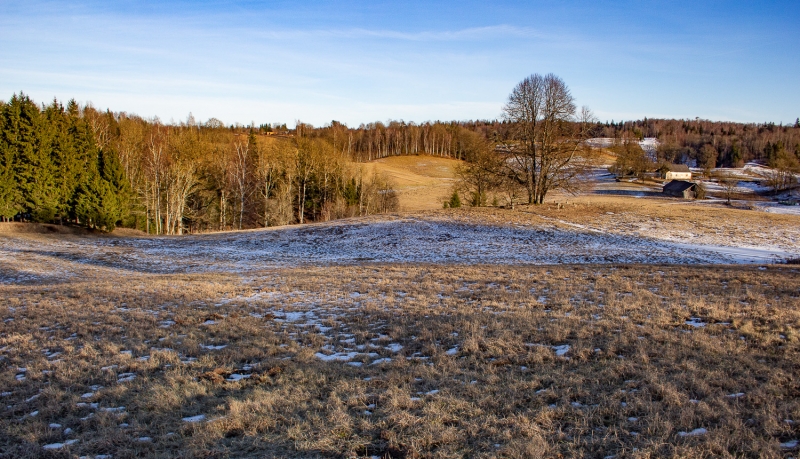 Dabas parks Talsu pauguraine. Skats ceļa posmā Mundīgas-Kampari. Foto: Andris Soms. DAP