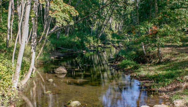 Dabas parks Vilce. Foto: Kārlis Lapiņš. DAP