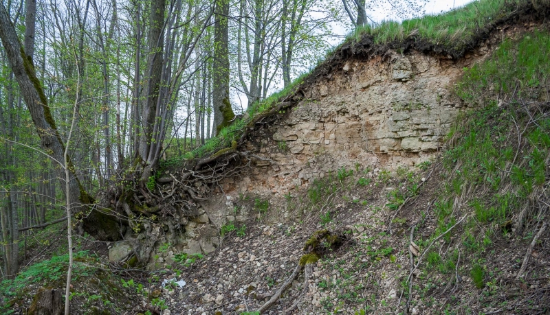 Dabas piemineklis Cepļa (Jaunzemju) dolomīta atsegums. Foto: Andris Soms