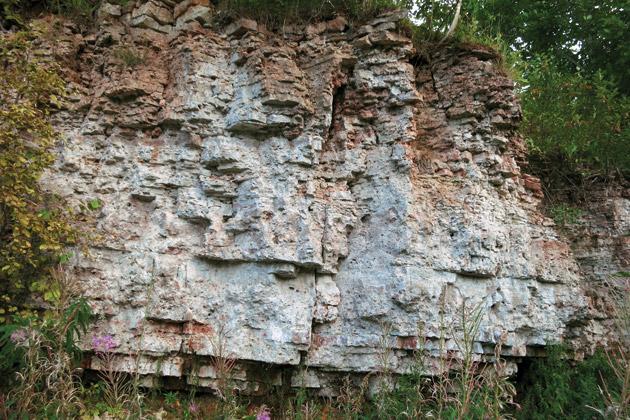 Grūbes dolomīta atsegums