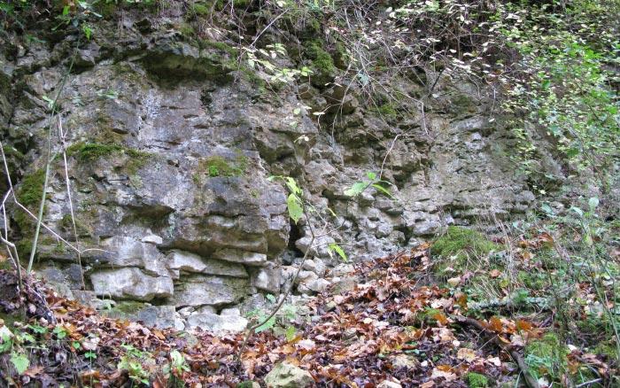 Šķerveļa lejteces dolomīta atsegums