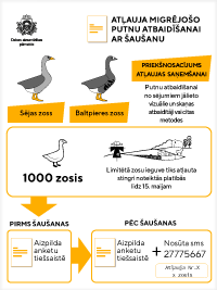 Infografika Atļauja migrējošo putnu atbaidīšanai (2021)