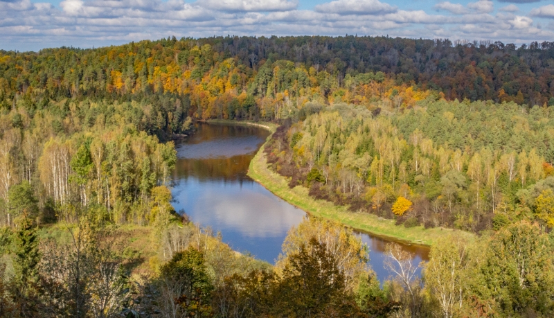 Gauja rudenī