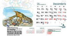 Ekrāntapete 2025. decembris. Sīkbilde