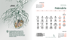 Ekrāntapete 2026. janvāris. Februāris. Koka sakņu sistēma. Sīkbilde