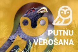 putnu vērošana