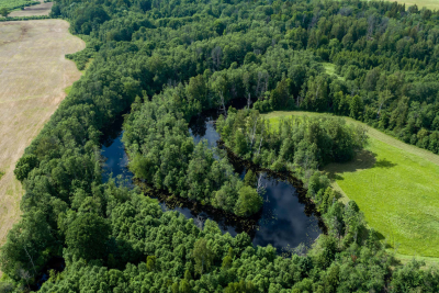 Dabas parks OGRES IELEJA. Foto Jānis Zilvers