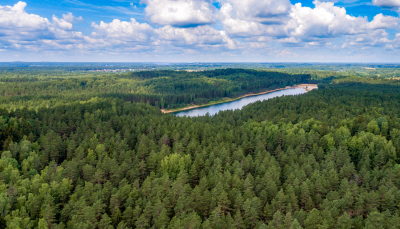 Skujukoju mežs skatā no augšas. Centrā garena ūdenskrātuve - bijušais grants karjers. Saulaina diena ar gubu mākoņiem debesīs.
