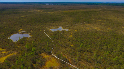 Taka Teiču dabas rezervātā. Foto: Dagnis Vasiļevskis