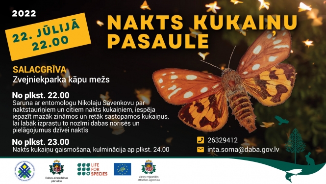 Kukaiņu nakts afiša