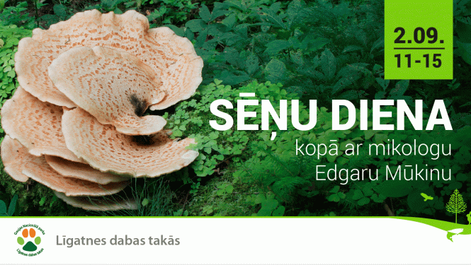 Sēņu diena Līgatnes dabas takās