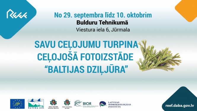 Izstādes BALTIJAS DZIĻJŪRA afiša