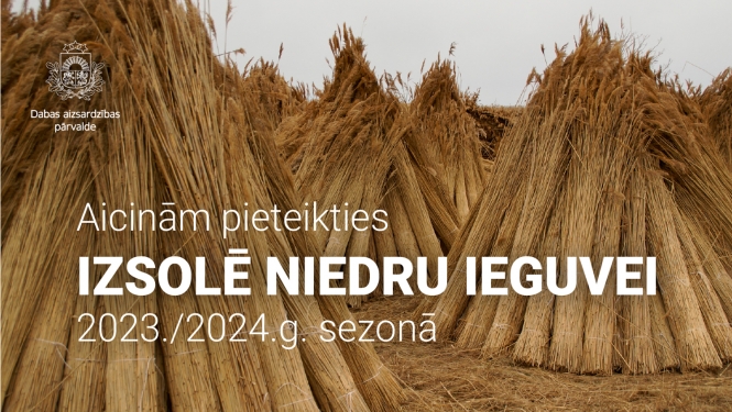 Niedru ieguves izsole