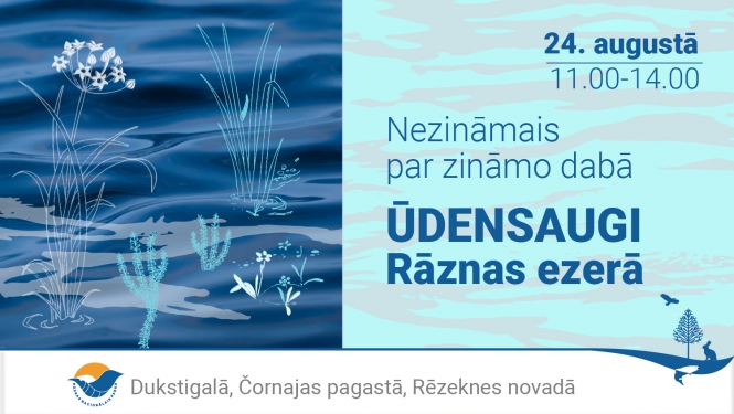 nezināmais par zināmo dabā.Ūdensaugi Rāznas ezerā.