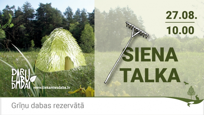 Siena talka Grīņu dabas rezervātā
