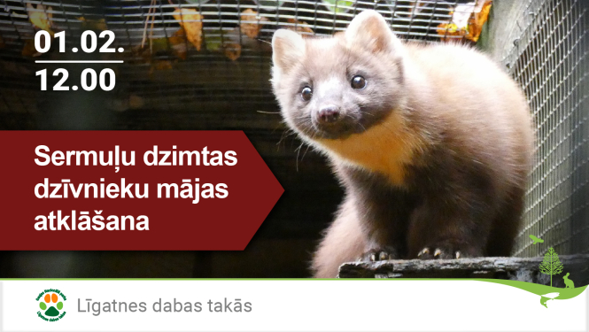 Sermuļu dzimtas dzīvnieku mājas atklāšana