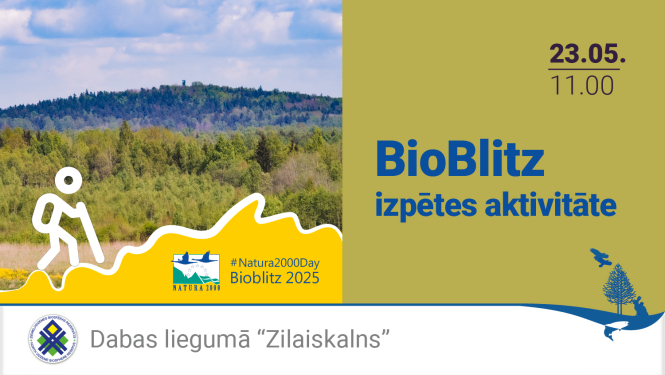 BioBlitz izpētes aktivitāte dabas liegumā Zilais kalns
