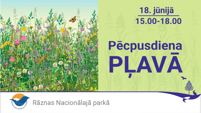 Pēcpusdiena pļavā