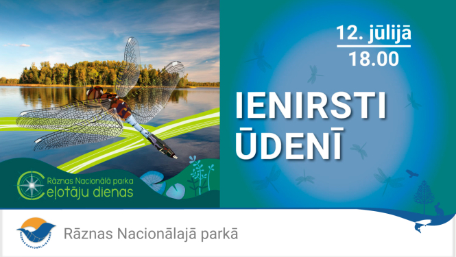 Ūdensaugi un ūdensdzīvnieki Ežezerā