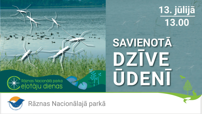 Ūdeņos sastopamās sugas ezerā