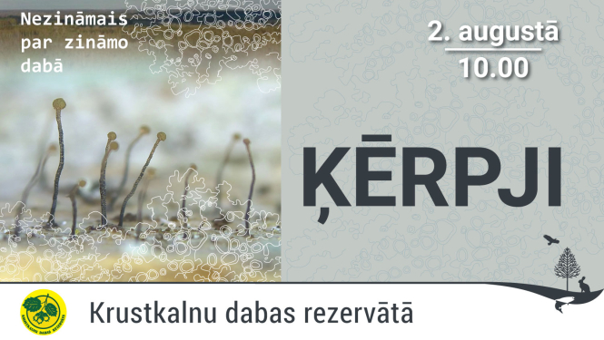 Nagliņķērpju attēls
