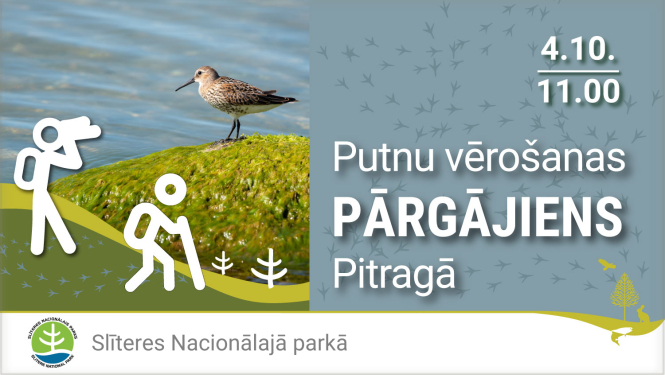 Putnu vērošanas pārgājiens Pitragā