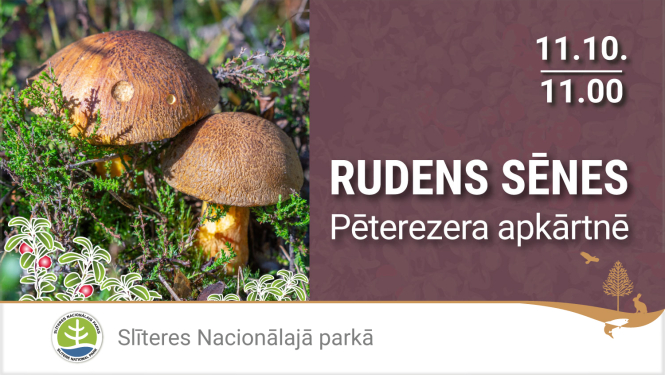 Rudens sēņu pārgājiena reklāma