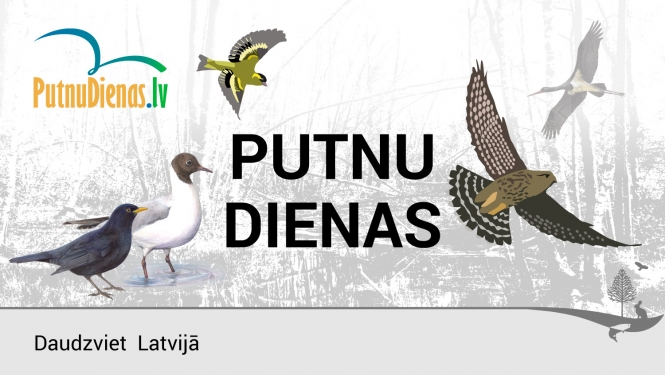Putnu dienas 2022