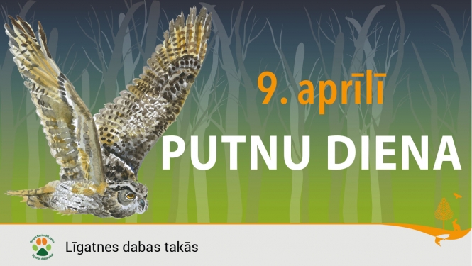 Putnu diena Līgatnes daba stakās